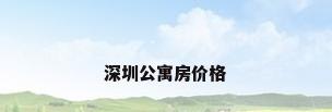 深圳公寓房价格