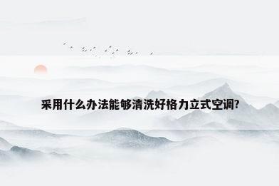 采用什么办法能够清洗好格力立式空调?