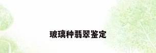 玻璃种翡翠鉴定