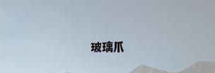 玻璃爪