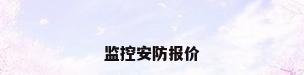 监控安防报价