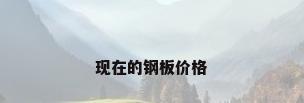 现在的钢板价格