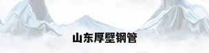 山东厚壁钢管