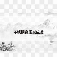 不锈钢高压反应釜
