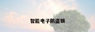 智能电子防盗锁