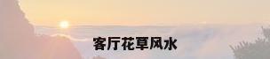 客厅花草风水