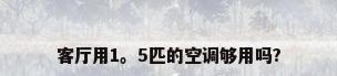 客厅用1。5匹的空调够用吗?