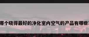 哪个晓得最好的净化室内空气的产品有哪些?