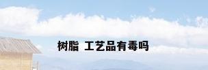 树脂 工艺品有毒吗