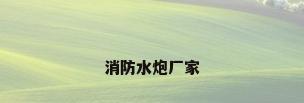 消防水炮厂家