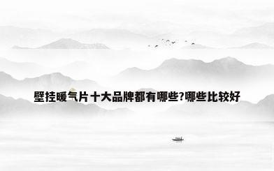 壁挂暖气片十大品牌都有哪些?哪些比较好