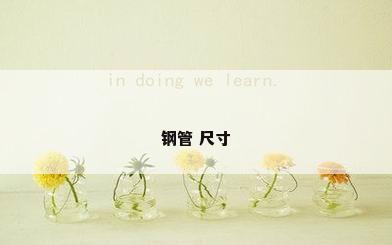 钢管 尺寸