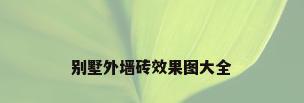 别墅外墙砖效果图大全