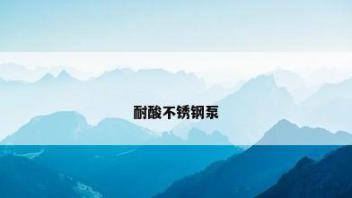耐酸不锈钢泵
