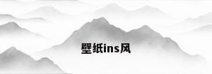 壁纸ins风