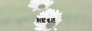 别墅毛坯