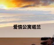 爱情公寓诺兰