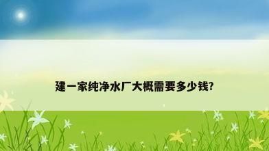 建一家纯净水厂大概需要多少钱?