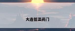 大连低温阀门