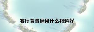 客厅背景墙用什么材料好