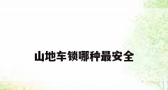 山地车锁哪种最安全