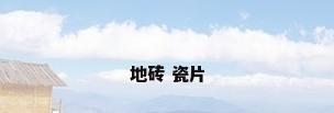 地砖 瓷片