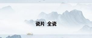 瓷片 全瓷