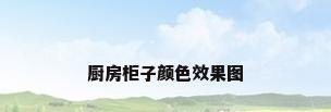 厨房柜子颜色效果图