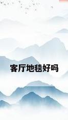 客厅地毯好吗