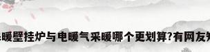 电热采暖壁挂炉与电暖气采暖哪个更划算?有网友知道吗?