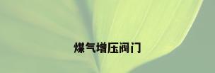 煤气增压阀门
