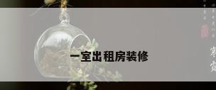一室出租房装修
