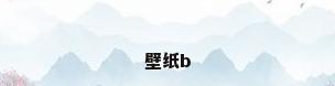 壁纸b