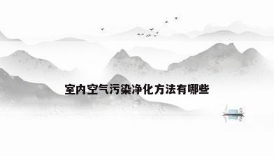 室内空气污染净化方法有哪些