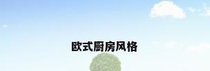 欧式厨房风格