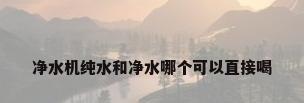净水机纯水和净水哪个可以直接喝