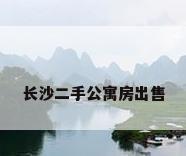 长沙二手公寓房出售