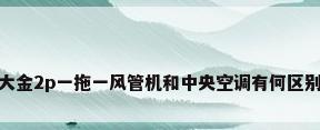 大金2p一拖一风管机和中央空调有何区别