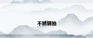 不锈钢拍