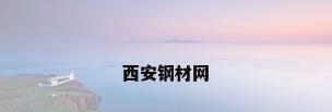 西安钢材网
