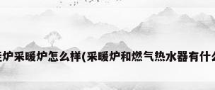电壁挂炉采暖炉怎么样(采暖炉和燃气热水器有什么区别)