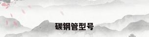 碳钢管型号