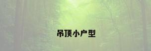 吊顶小户型