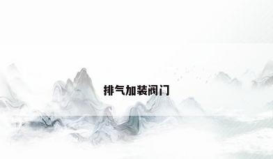 排气加装阀门