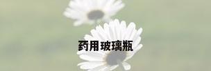 药用玻璃瓶