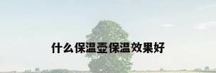 什么保温壶保温效果好