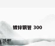 镀锌钢管 300