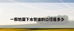 一般地漏下水管道的口径是多少