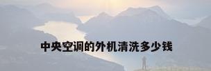 中央空调的外机清洗多少钱
