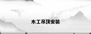 木工吊顶安装
